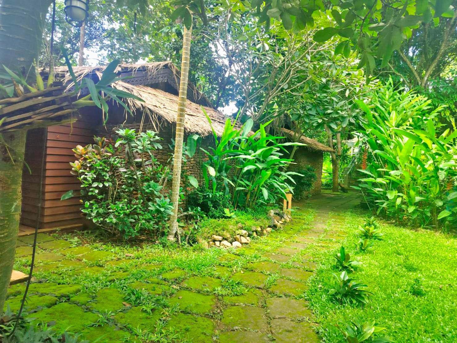 Hot Coffee Guest House And Resort Ban Mae Na Chon Экстерьер фото