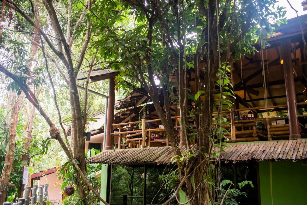 Hot Coffee Guest House And Resort Ban Mae Na Chon Экстерьер фото